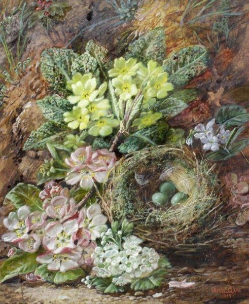 Birds Nest with Primroses and Apple Blossom