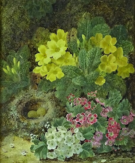 Birds Nest and Flowers on a Mossy Bank