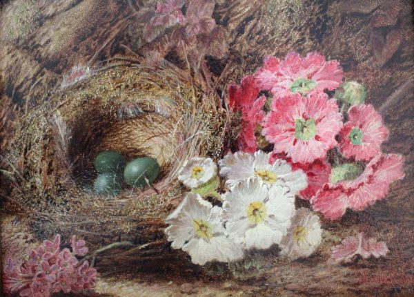 Still Life of Birds Nest and Flowers